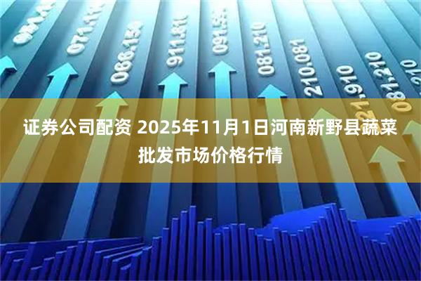 证券公司配资 2025年11月1日河南新野县蔬菜批发市场价格行情